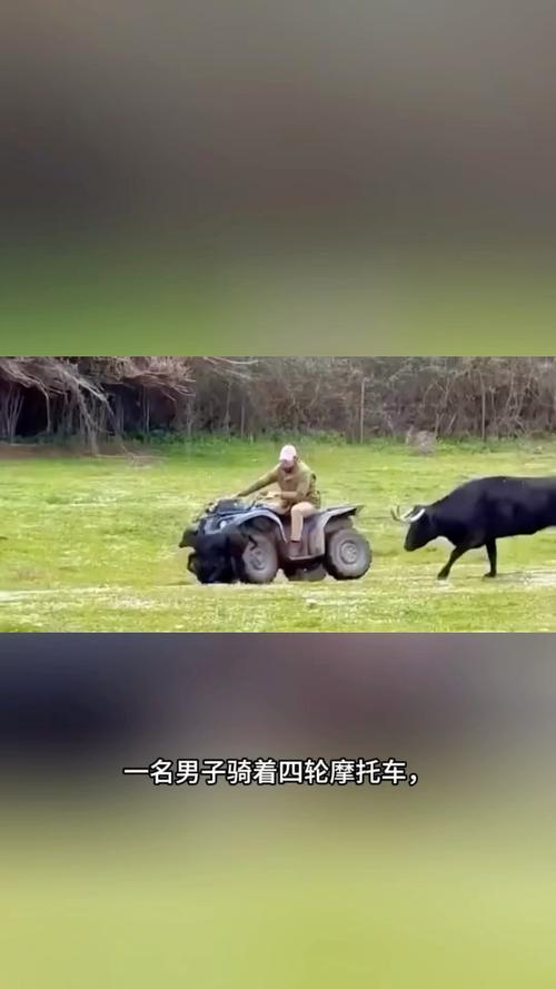 新闻中心 第21页