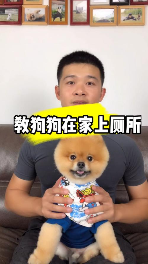 解决方案 第7页